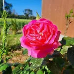 Il Cuore Del Conero - Casale Con Piscina, Natura E Relax * カメラーノ
