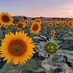 Il Cuore Del Conero - Casale Con Piscina, Natura E Relax