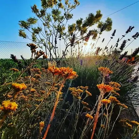Il Cuore Del Conero - Casale Con Piscina, Natura E Relax קמראנו