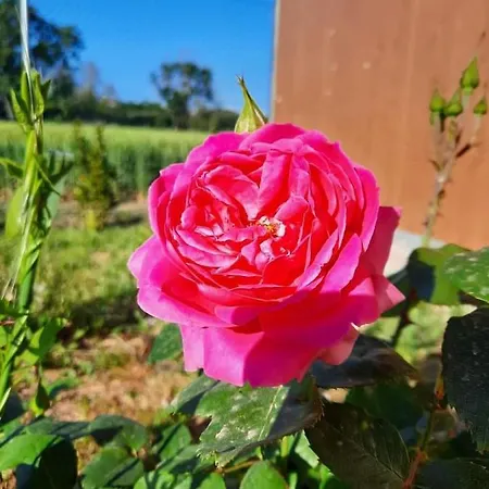 Il Cuore Del Conero - Casale Con Piscina, Natura E Relax * Camerano