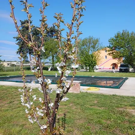 Il Cuore Del Conero - Casale Con Piscina, Natura E Relax Дом отдыха *
